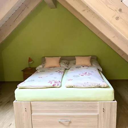 Jana 3* Janské Lázně