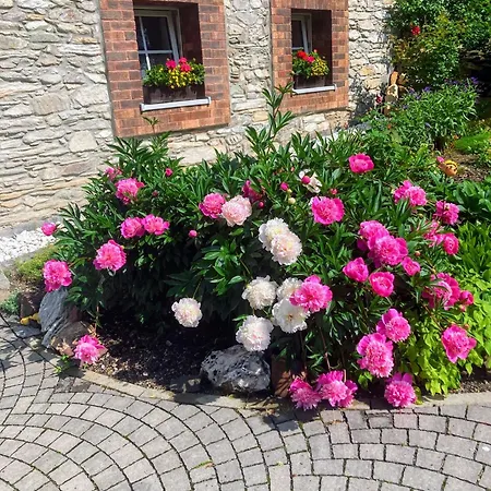 Jana Guest house Janske Lazne