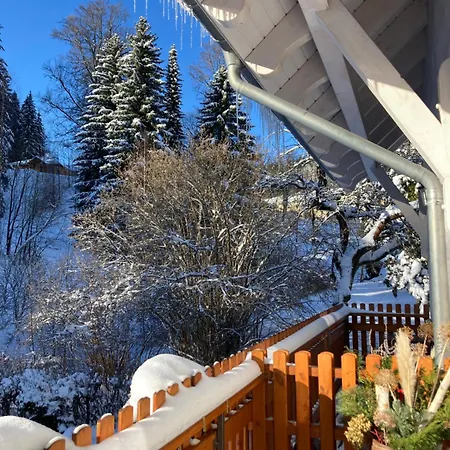 Jana Guest house